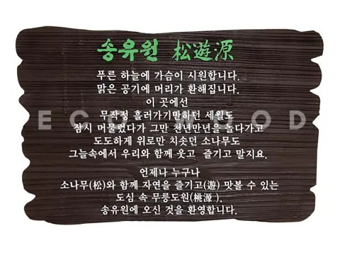 107_송유원