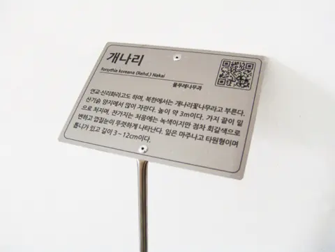 70_[WSP-0076] 수목표찰 (Stainless)