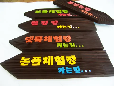 10_[WSB-0012] 논풀체험장