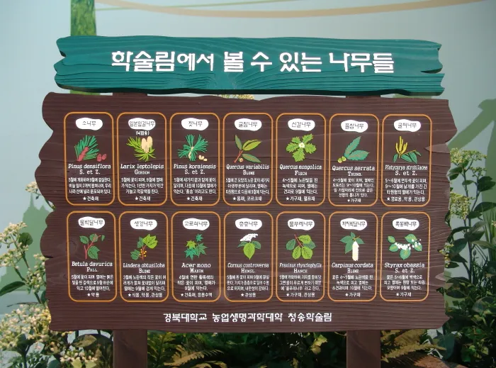 7_[WSG-0046] 학술림 종합안내판 사진 1