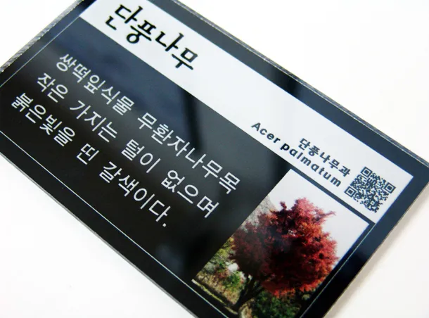 33_[WSP-0046] 수목표찰 수목표찰/실·내외표찰 사진 1