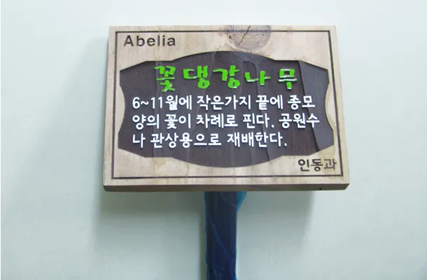 42_[WSP-0038] 수목표찰 수목표찰/실·내외표찰 사진 2