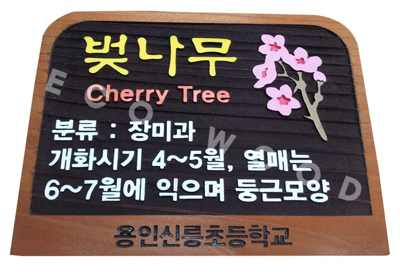 78_수목표찰_용인신릉초등학교 수목표찰/실·내외표찰 사진 3