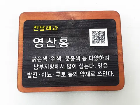 75_[WSP_0079] QR코드 수목표찰