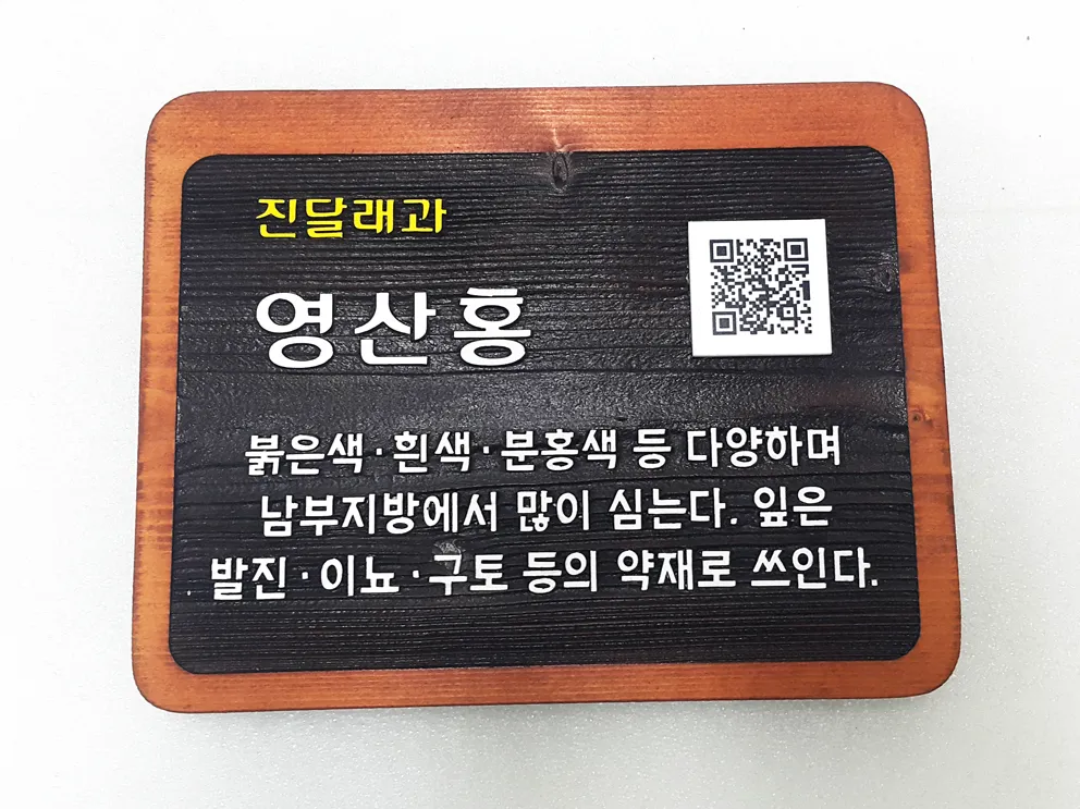 75_[WSP_0079] QR코드 수목표찰 수목표찰/실·내외표찰 사진 1