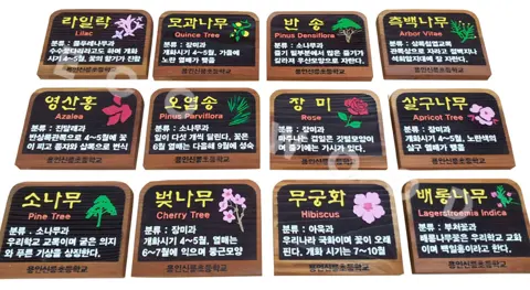 78_수목표찰_용인신릉초등학교