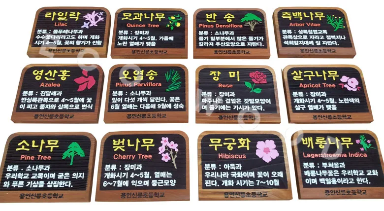 78_수목표찰_용인신릉초등학교 수목표찰/실·내외표찰 사진 1