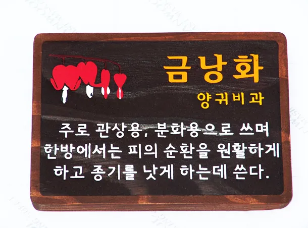 41_[WSP-0042] 수목표찰 수목표찰/실·내외표찰 사진 2