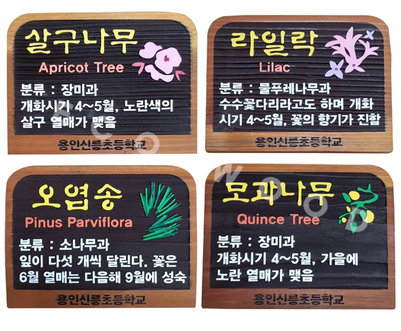 78_수목표찰_용인신릉초등학교 수목표찰/실·내외표찰 사진 2